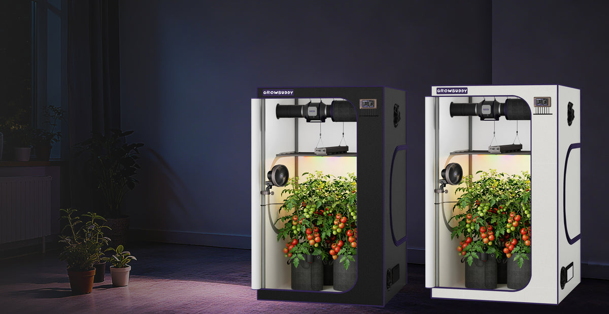 Growbuddy Growtent Komplettset 2x2