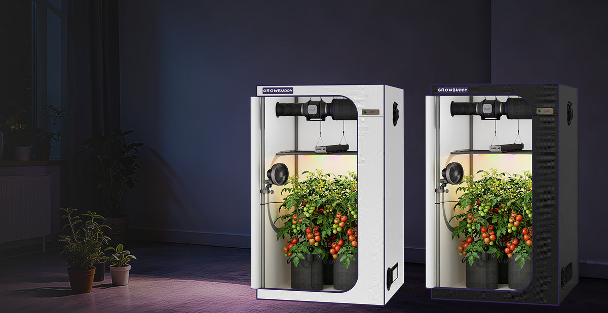 Growbuddy Growtent Komplettset 2x2